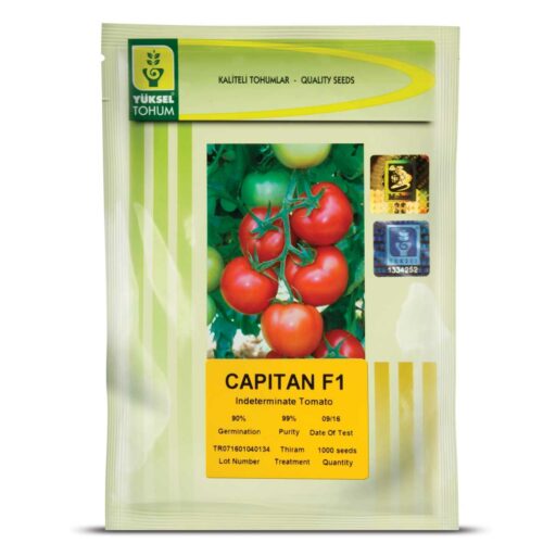 گوجه گلخانه ای کاپیتان