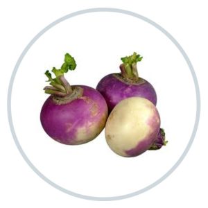 کاشت شلغم