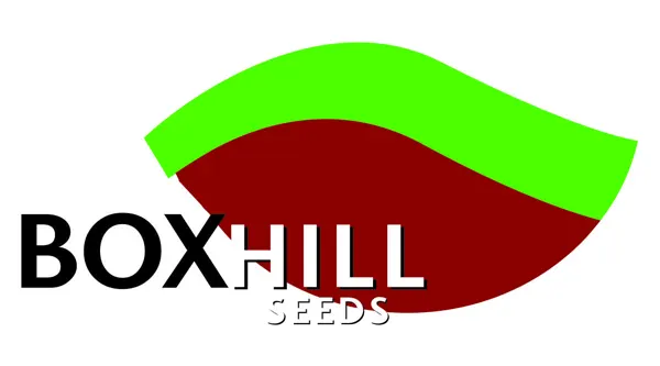باکسهیل-BOXHILL-Seeds