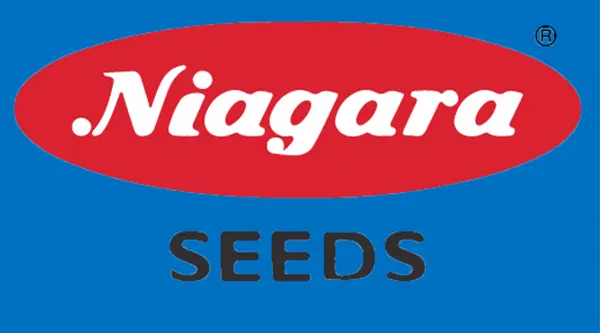 نیاگارا-سیدز-Niagara-Seeds